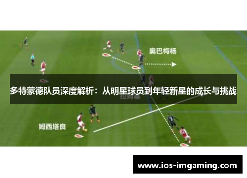 多特蒙德队员深度解析：从明星球员到年轻新星的成长与挑战