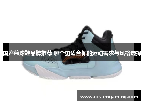 国产篮球鞋品牌推荐 哪个更适合你的运动需求与风格选择