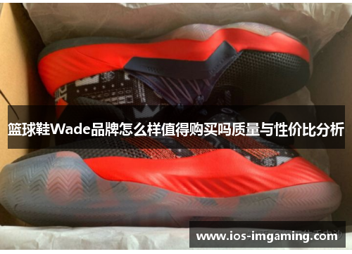 篮球鞋Wade品牌怎么样值得购买吗质量与性价比分析