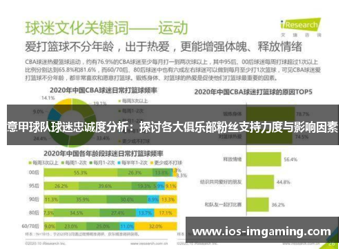 意甲球队球迷忠诚度分析：探讨各大俱乐部粉丝支持力度与影响因素