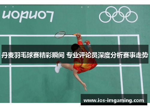 丹麦羽毛球赛精彩瞬间 专业评论员深度分析赛事走势
