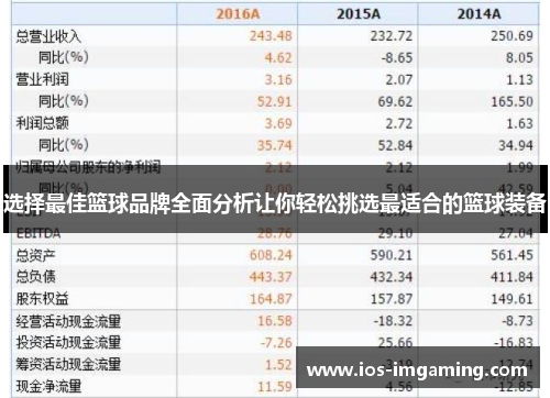 选择最佳篮球品牌全面分析让你轻松挑选最适合的篮球装备