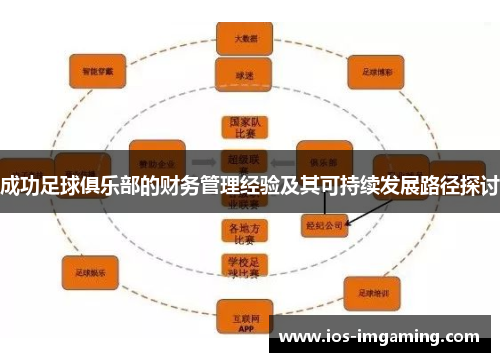 成功足球俱乐部的财务管理经验及其可持续发展路径探讨