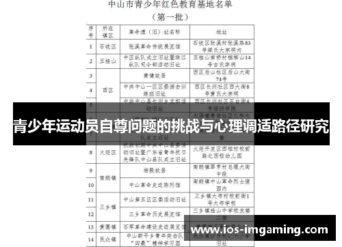 青少年运动员自尊问题的挑战与心理调适路径研究