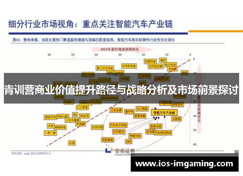 青训营商业价值提升路径与战略分析及市场前景探讨