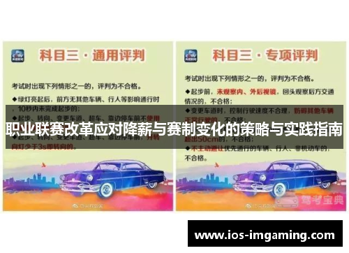 职业联赛改革应对降薪与赛制变化的策略与实践指南