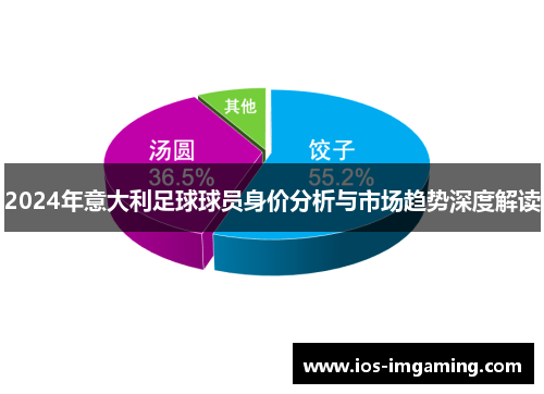 2024年意大利足球球员身价分析与市场趋势深度解读