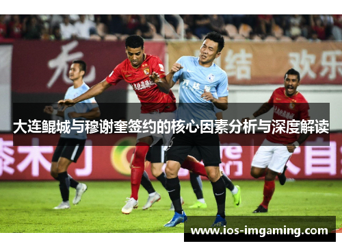 大连鲲城与穆谢奎签约的核心因素分析与深度解读