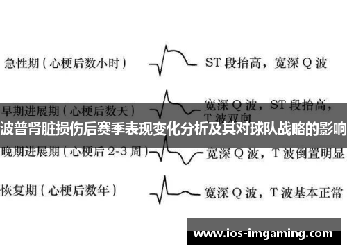 波普肾脏损伤后赛季表现变化分析及其对球队战略的影响