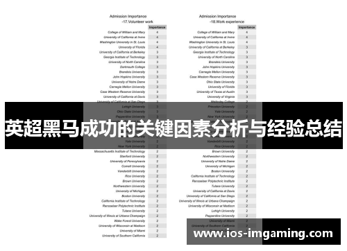 英超黑马成功的关键因素分析与经验总结