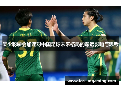 吴少聪转会加速对中国足球未来格局的深远影响与思考