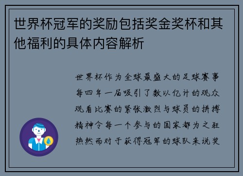 世界杯冠军的奖励包括奖金奖杯和其他福利的具体内容解析